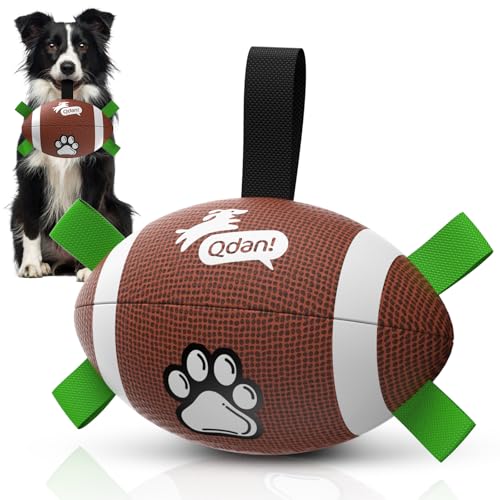 QDAN durable football-shaped dog tug toy